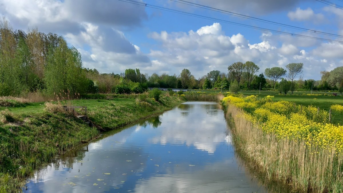 Waterfoto met weerspiegeling winnaar fotowedstrijd april
