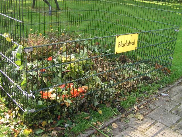 Foto van een bladkorf