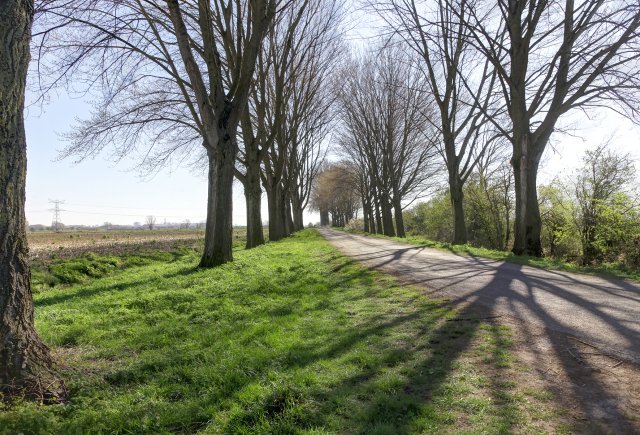 Poldergebied in Angeren